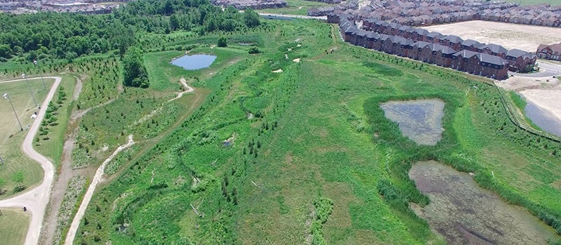 aerial view of location for new Mount Pleasant community in Brampton