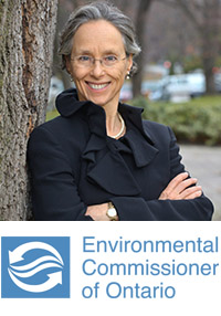 Environmental Commissioner of Ontario Dianne Saxe